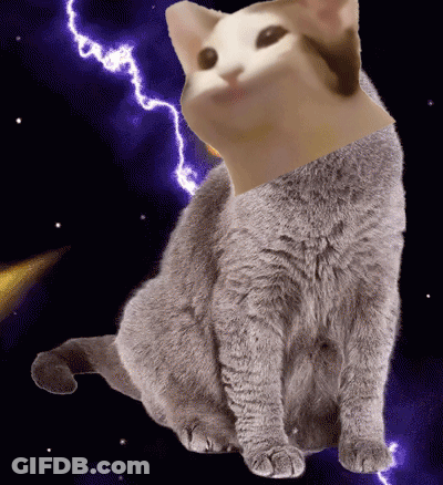 A Cat With A Lightning Bolt Behind It 'S Head GIF