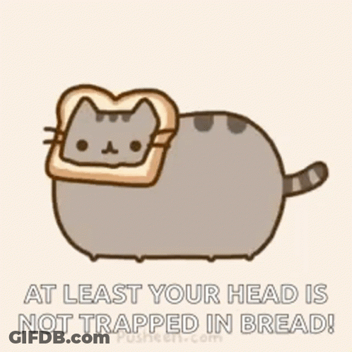 A Cat With A Piece Of Bread On Its Head Says At Least Your Head Is Not Trapped In Bread ! GIF