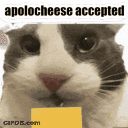 Cat With Cheese Saying Apologese Accepted GIF