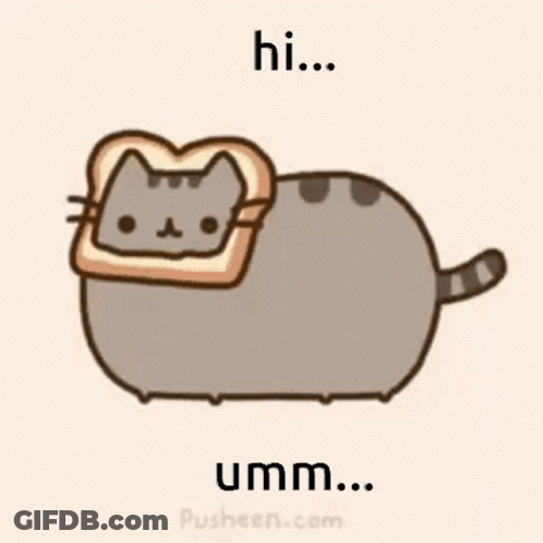 A Cat With A Piece Of Toast On Its Head . GIF