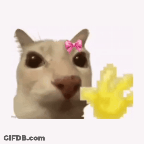A Cat With A Pink Bow On Its Head Is Eating A French Fry . GIF