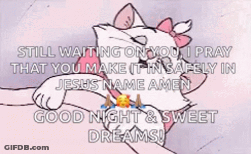 A Cat With A Pink Bow On Its Head Is Laying On A Person 'S Lap And Says Good Night And Sweet Dreams GIF