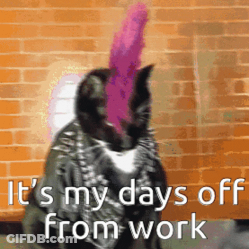 A Cat With A Pink Feather On Its Head And The Words " It 'S My Days Off From Work " Below It GIF