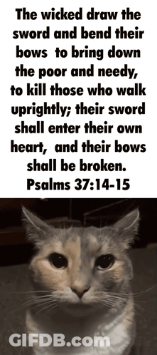 A Cat With A Quote From Psalms 37 14 15 GIF
