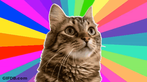 A Cat With A Rainbow Colored Background Looks Up GIF