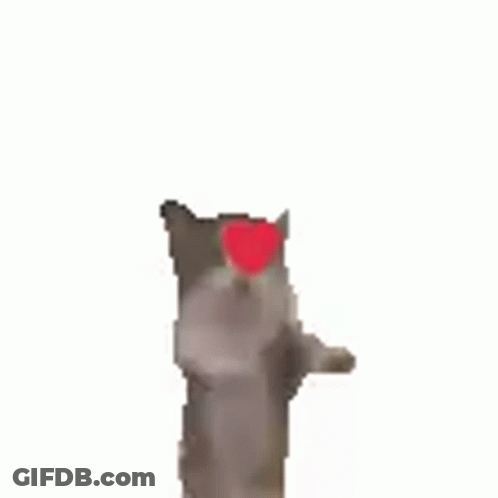 A Cat With A Red Heart On Its Chest Is Standing Up On Its Hind Legs . GIF
