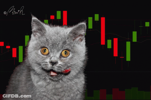 A Cat With A Red Tongue Sticking Out In Front Of A Stock Chart With The Letters M And H Visible GIF