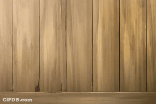 A Cat With A Red White And Blue Ribbon Around Its Neck GIF