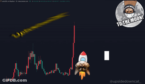 A Cat With A Rocket On Its Head And The Words Upside Down Cat Above It GIF