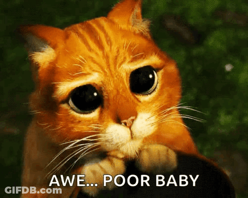 A Cat With A Sad Look On Its Face And The Words Awe Poor Baby Below It GIF