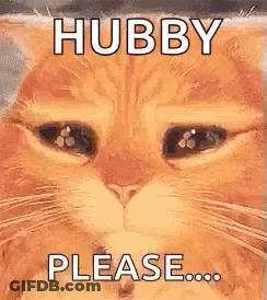 A Cat With A Sad Look On Its Face And The Words `` Hubby Please '' Written On It . GIF
