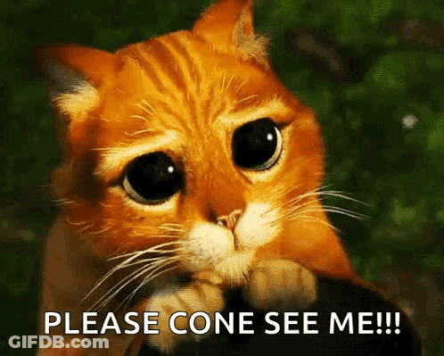 A Cat With A Sad Look On Its Face And The Words Please Cone See Me Below It GIF