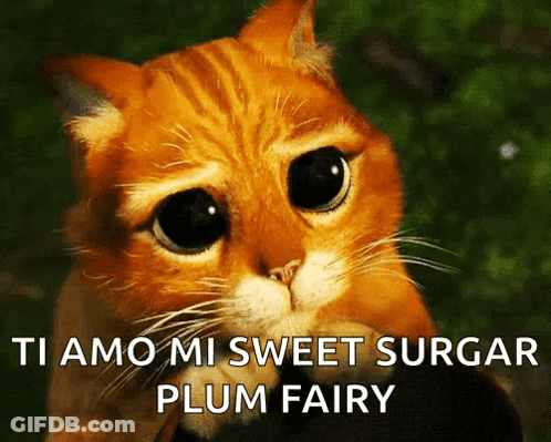 A Cat With A Sad Look On Its Face And The Words Ti Amo Mi Sweet Surgar Plum Fairy GIF