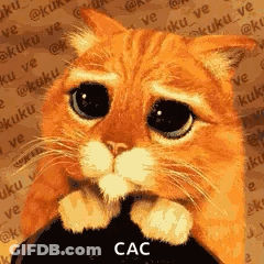 A Cat With A Sad Look On Its Face Is Sitting On A Black Object . GIF