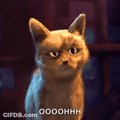 A Cat With A Serious Look On Its Face And The Words Ooohhh Written Below It GIF
