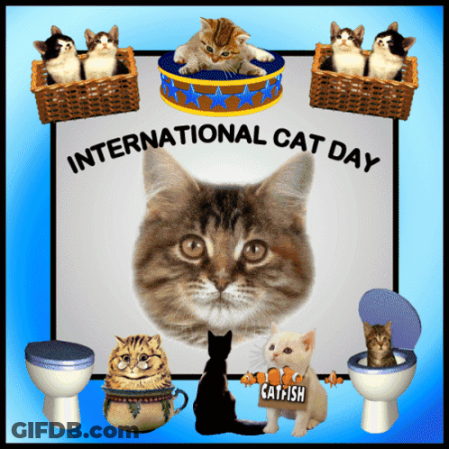 A Cat With A Sign That Says Catfish Surrounded By Other Cats GIF