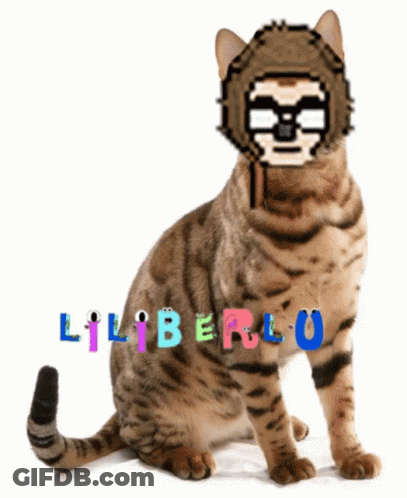 A Cat With A Sloth On Its Head And The Word Liberlu Written On It GIF