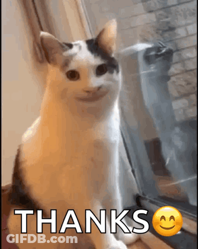 A Cat With A Smiley Face Is Sitting In Front Of A Window With The Words Thanks Written Below It . GIF