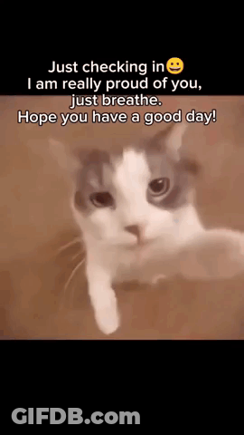A Cat With A Smiley Face On Its Face Says Just Checking In I Am Really Proud Of You . GIF