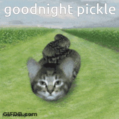 A Cat With A Snake On Its Back And The Words Goodnight Pickle GIF