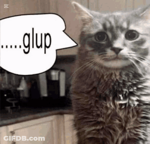 A Cat With A Speech Bubble Saying Glup GIF