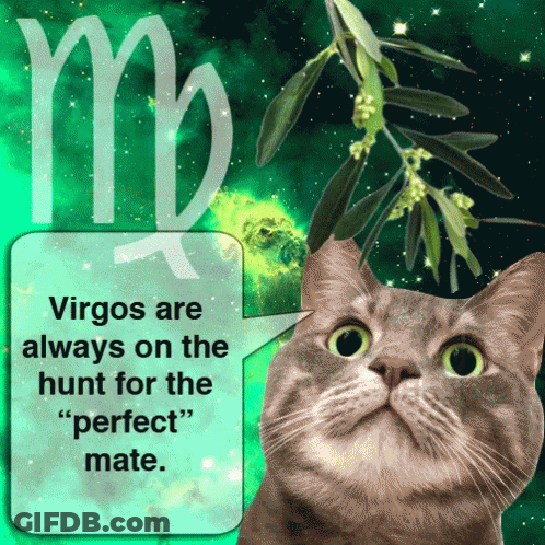 A Cat With A Speech Bubble Saying Virgos Are Always On The Hunt For The " Perfect " Mate GIF