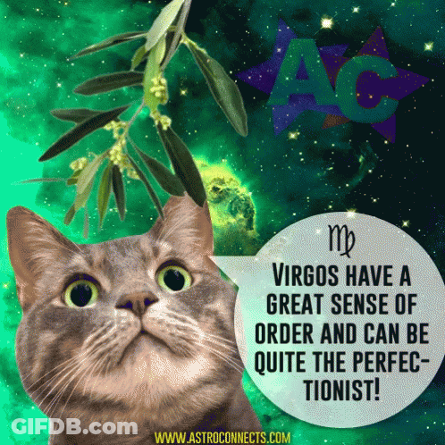 A Cat With A Speech Bubble Saying Virgos Have A Great Sense Of Order GIF
