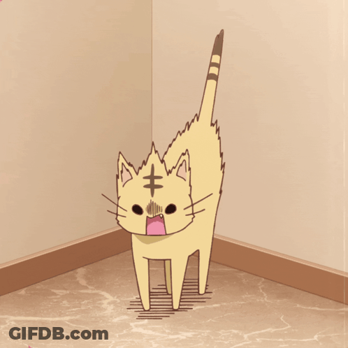 A Cat With A Surprised Look On Its Face GIF