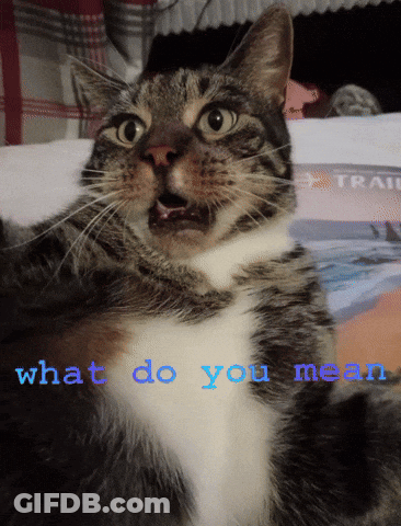 A Cat With A Surprised Look On Its Face And The Words What Do You Mean Behind It GIF