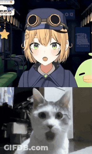 A Cat With A Surprised Look On Its Face Next To A Girl With Goggles On Her Head GIF