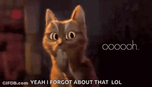 A Cat With A Surprised Look On Its Face Says Yeah I Forgot About That Lol . GIF