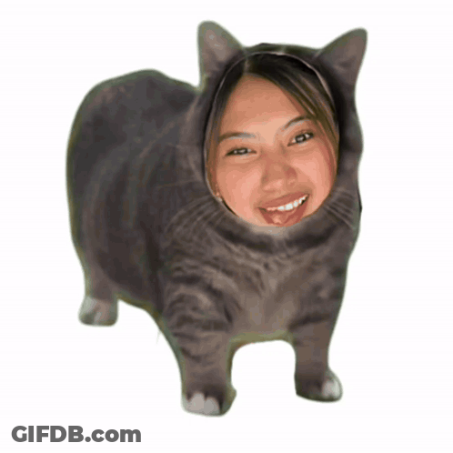 A Cat With A Woman 'S Face On It 'S Head GIF