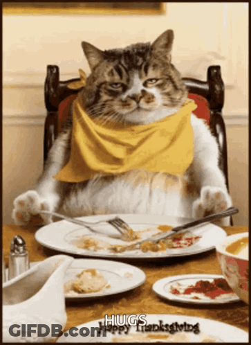 A Cat With A Yellow Scarf Around Its Neck Sits At A Table With Plates Of Food GIF