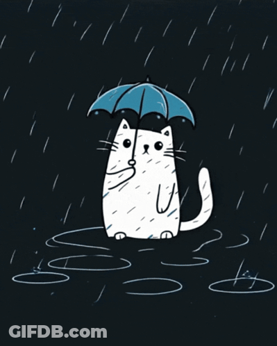 A Cat With An Umbrella In The Rain GIF