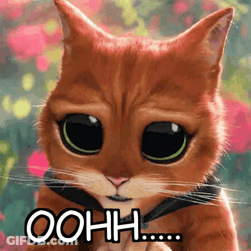 A Cat With Big Eyes And The Word Oohh Written On It GIF