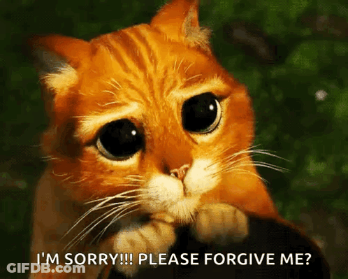 A Cat With Big Eyes Is Asking For Forgiveness GIF