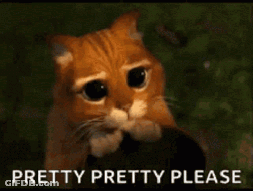 A Cat With Big Eyes Is Looking At The Camera With The Words `` Pretty Pretty Please '' Written Below It . GIF