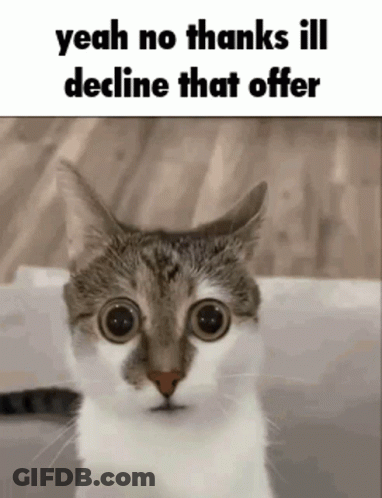 A Cat With Big Eyes Is Looking At The Camera With The Words `` Yeah No Thanks Ill Decline That Offer '' Written Above It GIF