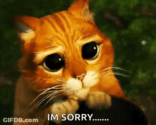 A Cat With Big Eyes Is Saying Im Sorry .. GIF