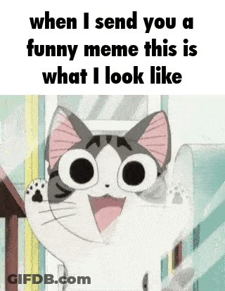 A Cat With Big Eyes Is Smiling And Looking At The Camera . GIF