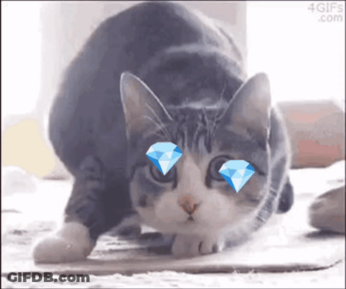 A Cat With Diamonds In Its Eyes Is Bending Over On The Floor . GIF