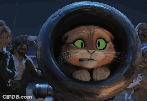A Cat With Green Eyes Is Looking Out Of A Tire GIF