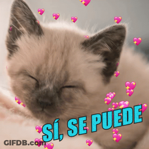 A Cat With Hearts Around It And The Words Si Se Puede On The Bottom GIF