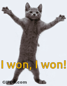 A Cat With Its Arms Outstretched And The Words " I Won I Won " Below It GIF