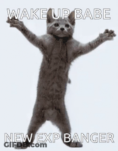 A Cat With Its Arms Outstretched And The Words Wake Up Babe New Exp Banger Below It GIF