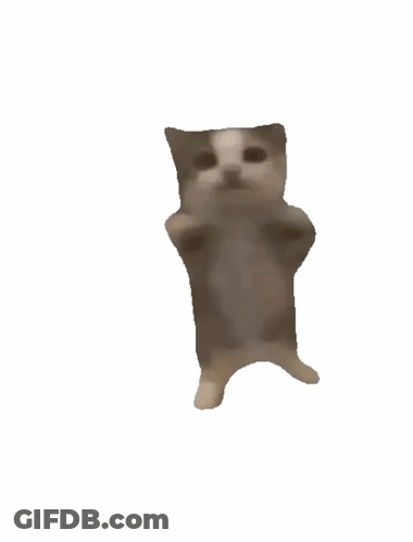 A Cat With Its Arms Outstretched Is Flying Through The Air GIF