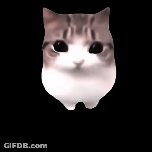 A Cat With Its Eyes Closed And A Pink Cheek GIF