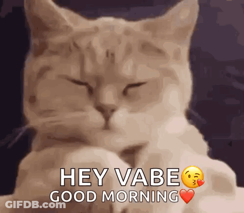 A Cat With Its Eyes Closed Is Saying `` Hey Vabe Good Morning '' GIF