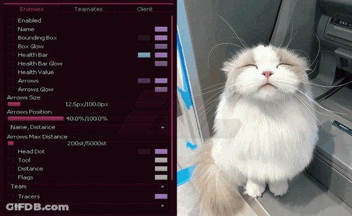 A Cat With Its Eyes Closed Next To A Computer Screen That Says " Enemies " GIF