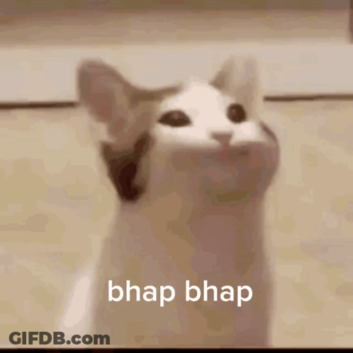 Mouth-Open Cat With Bhap Below GIF